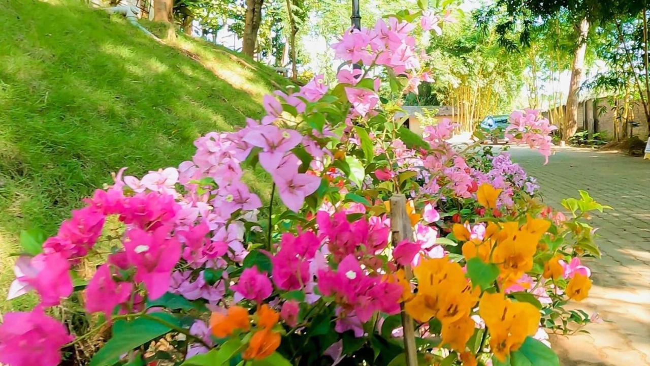 Bougainvillea Retreat & Spa Kaharpara Bagian luar foto